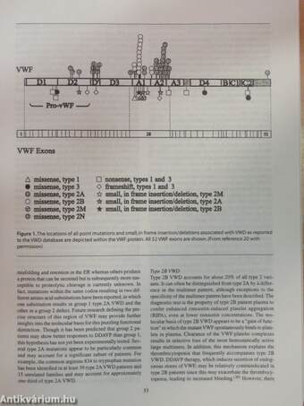 Hematology 1997