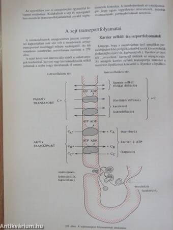 Orvosi biokémia 