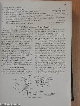 Rovarok és betegségek/Munkaegészségtan/Fertőzött fogak kór- és gyógytana