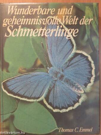 Wunderbare und geheimnisvolle Welt der Schmetterlinge