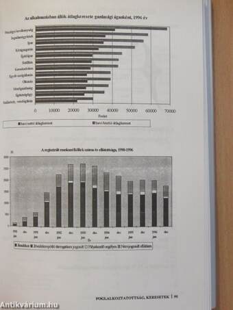 Fejér megye statisztikai évkönyve 1996