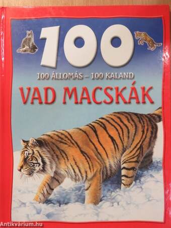 Vad macskák