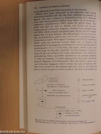 Elements of Medical Genetics