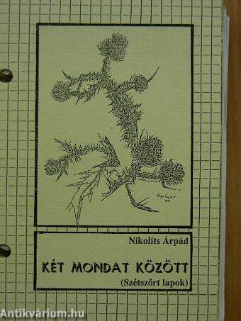 Két mondat között