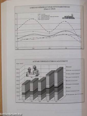 Zala megye statisztikai évkönyve 1996