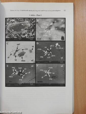 Földtani Közlöny 2005/1-4.