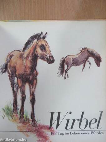 Wirbel