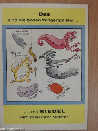 Riedel's kleine Rebschutzfibel