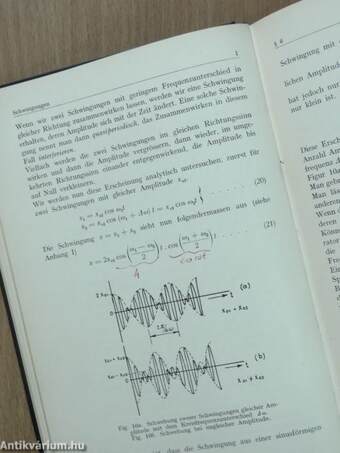 Einführung in das Gebiet der Mechanischen Schwingungen