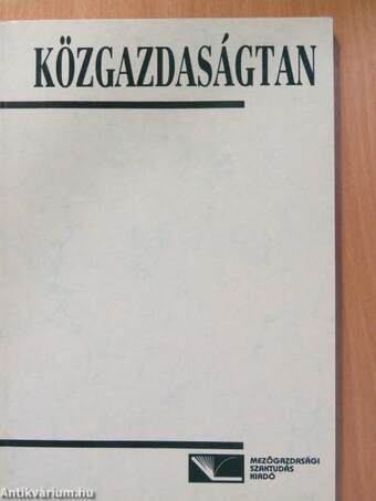 Közgazdaságtan