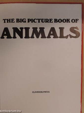 The Big Picture Book of Animals