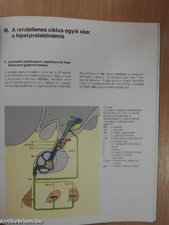 A menstruációs ciklus prolaktin dependens zavarai