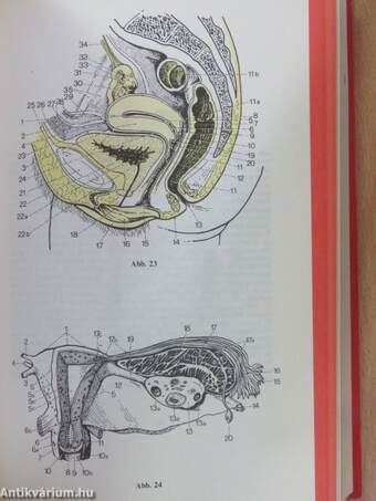 Fachwörterbuch der Medizin