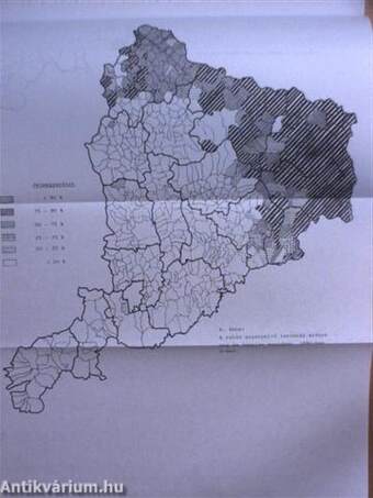 Az interetnikus kapcsolatok kutatásának újabb eredményei