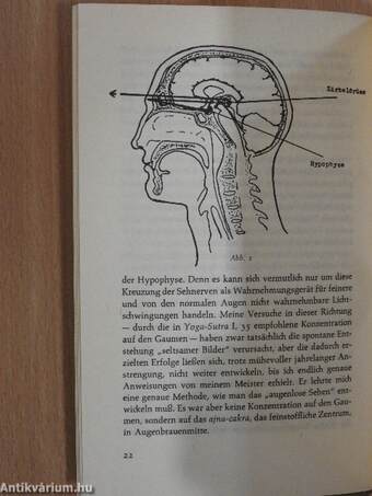 Das Öffnen des Dritten Auges