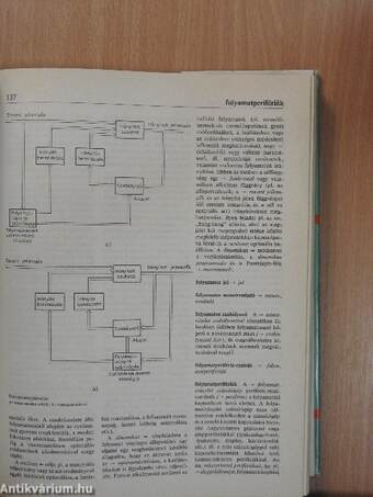 Automatizálási lexikon