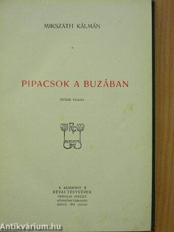 Pipacsok a buzában