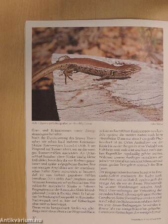 Herpetofauna Februar-Dezember 1986.