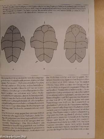 Herpetofauna Februar-Dezember 1995.