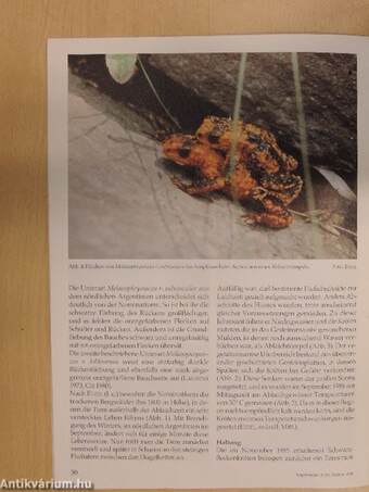 Herpetofauna Februar-Dezember 1994.