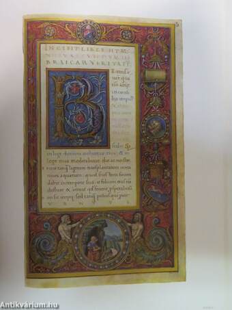 Illuminated Manuscripts in Hungary