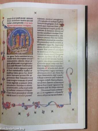 The Hungarian Illuminated Chronicle