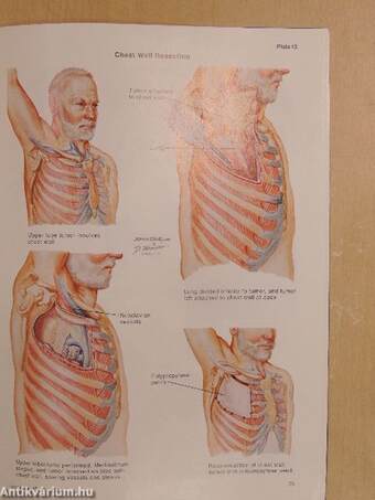 Clinical Symposia 3/1993