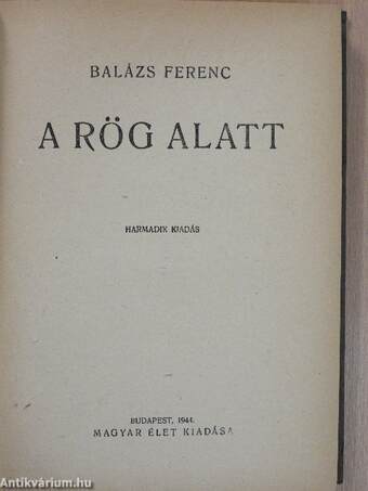 A rög alatt