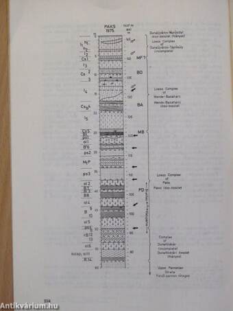 A magyarországi löszszelvények litosztratigráfiai tagolása