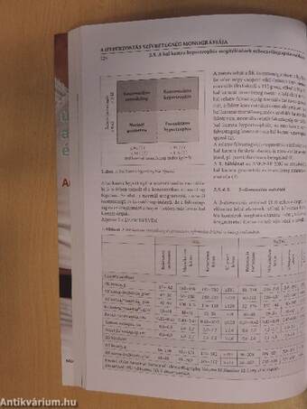 A hypertoniás szívbetegség monográfiája