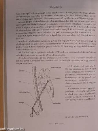 Kisklinikumi szakismeretek