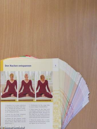 Die Yoga Box - Das Begleitbuch mit Übungsprogrammen/60 Übungskarten