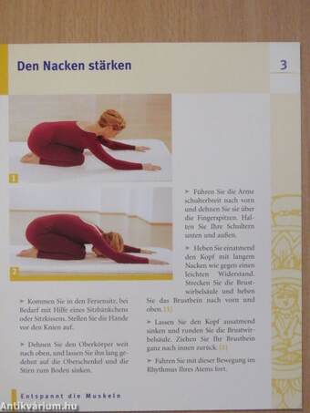 Die Yoga Box - Das Begleitbuch mit Übungsprogrammen/60 Übungskarten