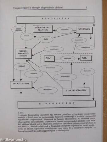 A nitrogén biogeokémiai ciklusai a funkcionális talajzoológia szempontjából