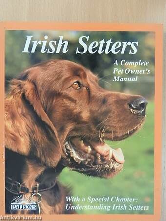 Irish Setters