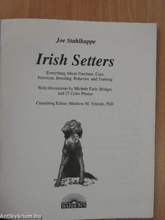 Irish Setters