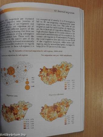 Demographic Portrait of Hungary 2012