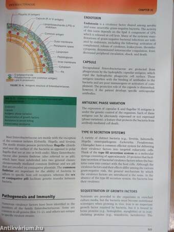 Medical Microbiology