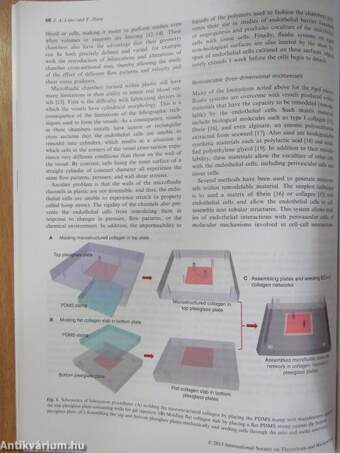 Journal of thrombosis and haemostasis June 2013