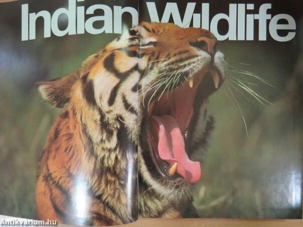 Indian Wildlife