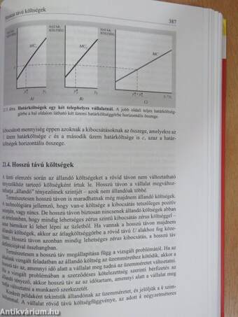 Mikroökonómia középfokon