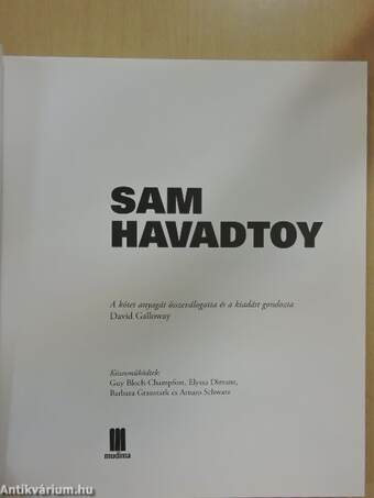 Sam Havadtoy