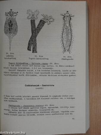 Állatrendszertani gyakorlatok