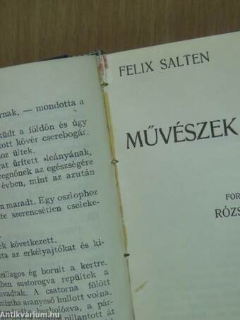 A szimuláns/A hadipilóta/Őfensége/Művészek feleségei/Bálint lovag szerelme/Az óriás/Egy fiu szenvedése/Trant, a psychologus detektiv/A zarándok-út