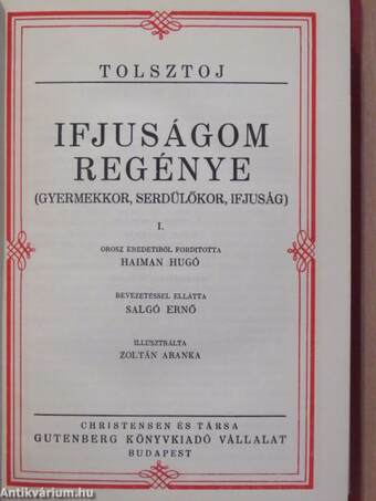 Ifjuságom regénye I-III./Családi boldogság