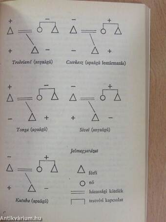 Mi a strukturalizmus?