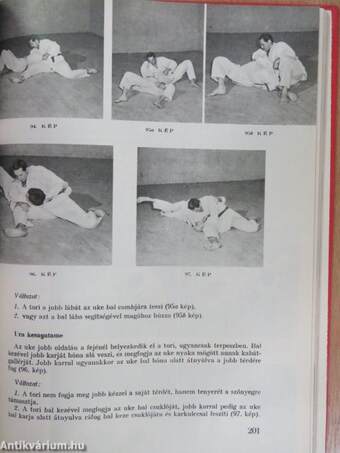 Cselgáncs (judo) és önvédelem (aikido)