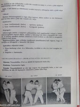 Cselgáncs (judo) és önvédelem (aikido)