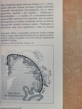 Az éden sárkányai