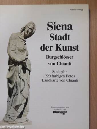 Siena Stadt der Kunst